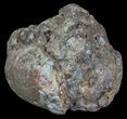 Crystal Filled Dugway Geode (Polished Half) #67495-1